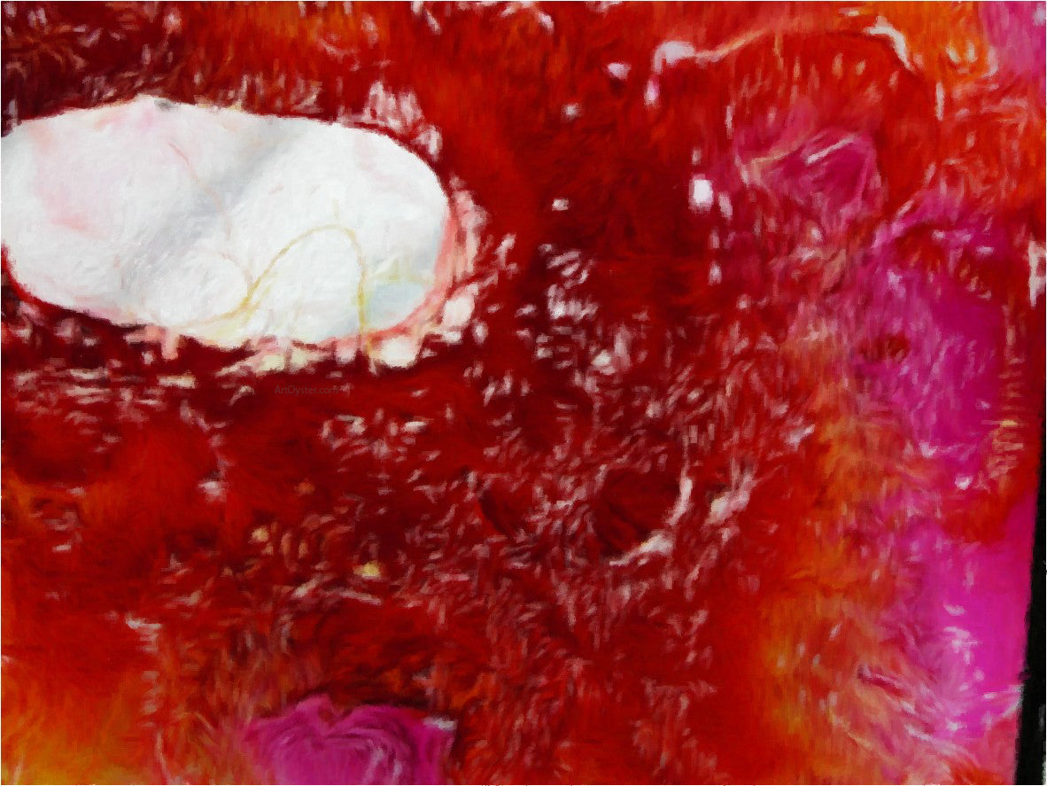 Our Original Collection Red with White Abstract - Canvas Print