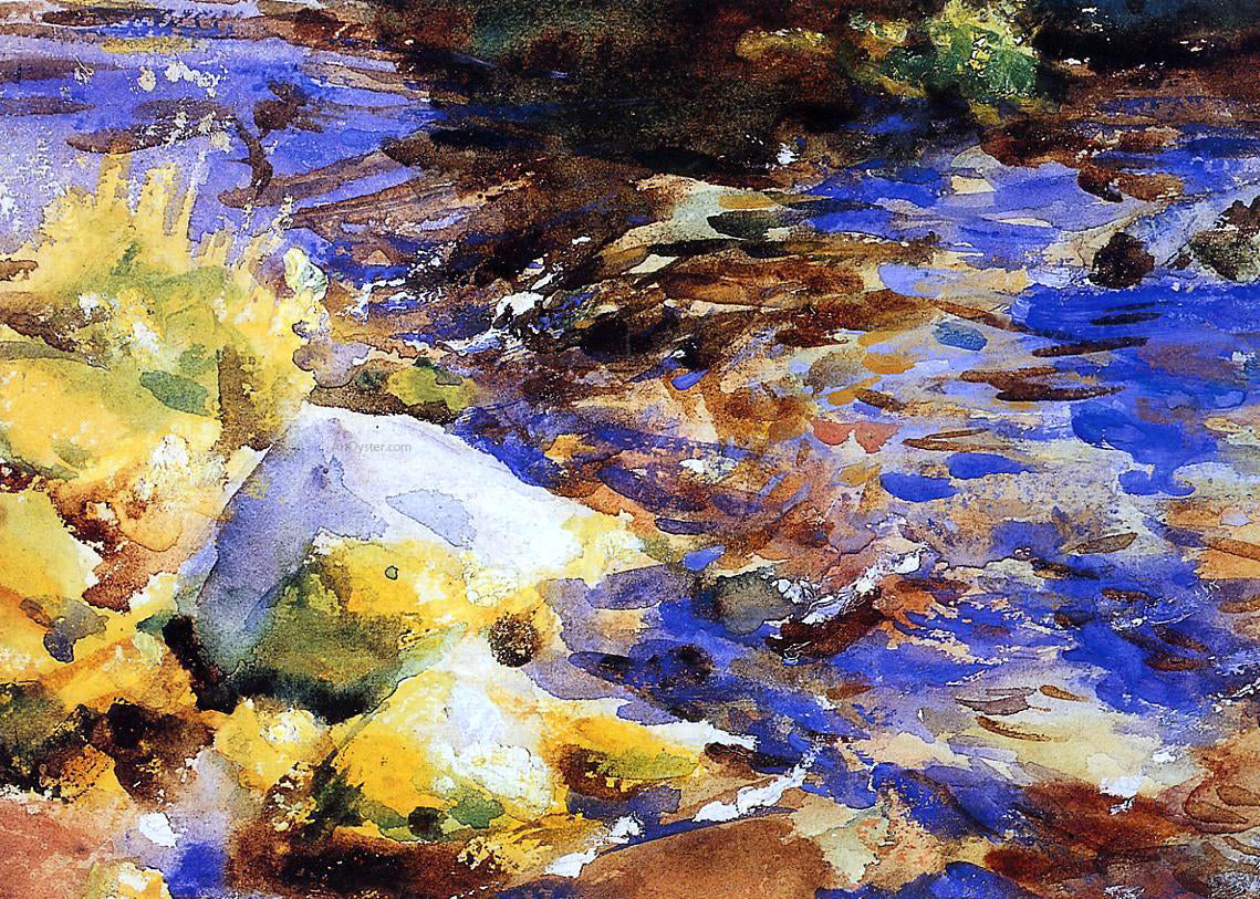 John Singer Sargent Reflection - Canvas Print