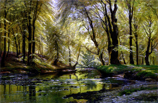Johannes Boesen Reflections In A Stream - Canvas Print