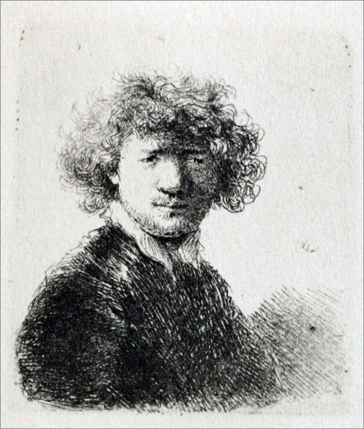 Rembrandt Van Rijn Rembrandt with Bushy Hair and a Small White Collar - Canvas Print