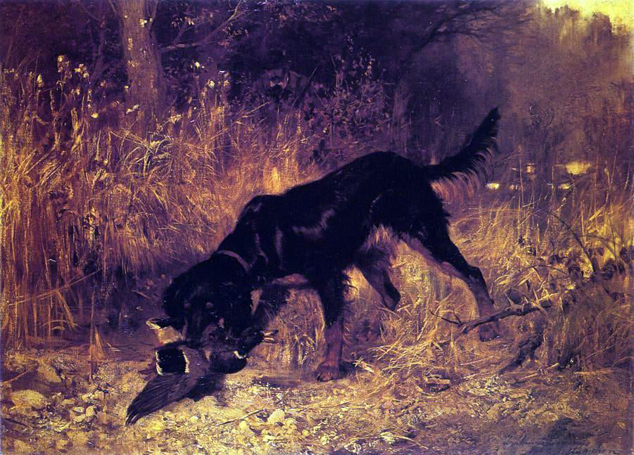 Josef Schmitzberger Retrieving a Mallard - Canvas Print