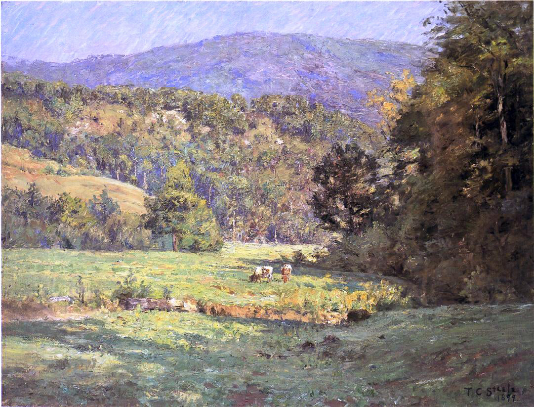 Theodore Clement Steele Roan Mountain - Canvas Print