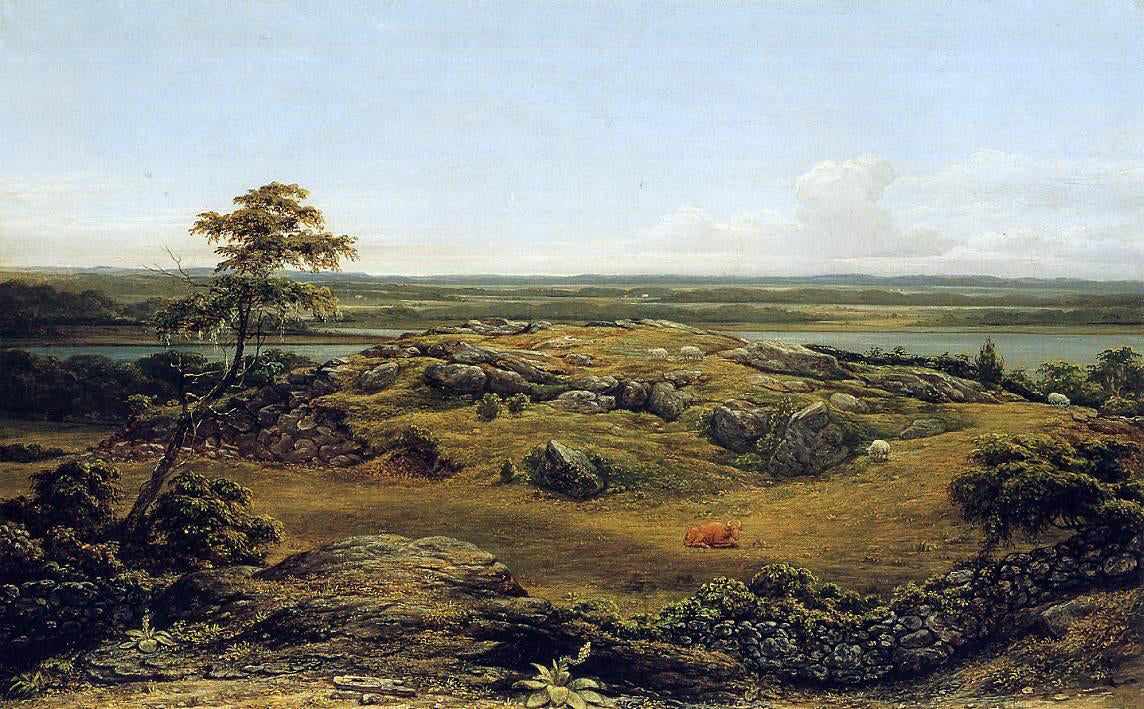 Martin Johnson Heade Rocks in New England - Canvas Print
