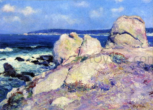 Guy Orlando Rose Rocks-Point Reamer - Canvas Print