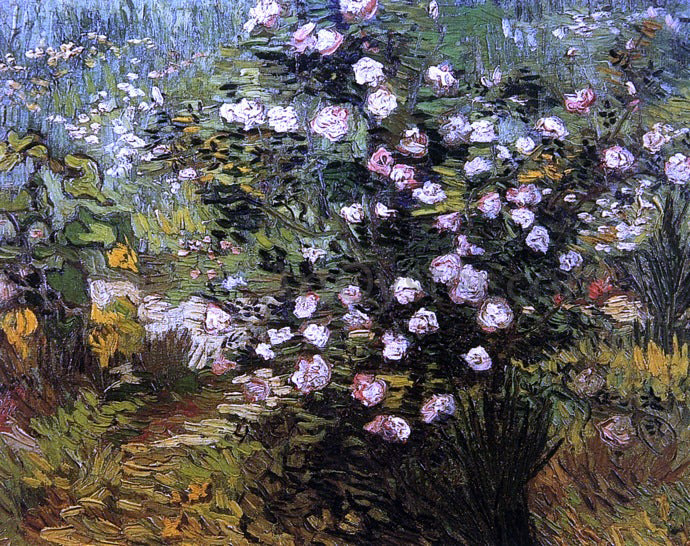Vincent Van Gogh Rosebush i Blossom - Canvas Print