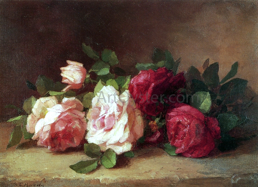 Anna Eliza Hardy Roses - Canvas Print