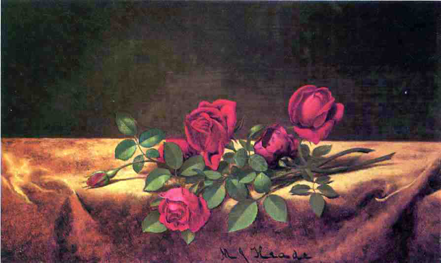 Martin Johnson Heade Roses Lying on Gold Velvet - Canvas Print