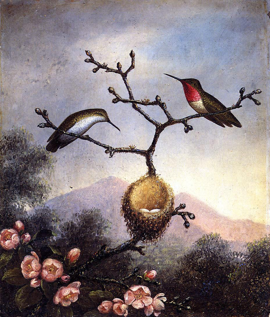 Martin Johnson Heade Ruby Throats with Apple Blossoms - Canvas Print