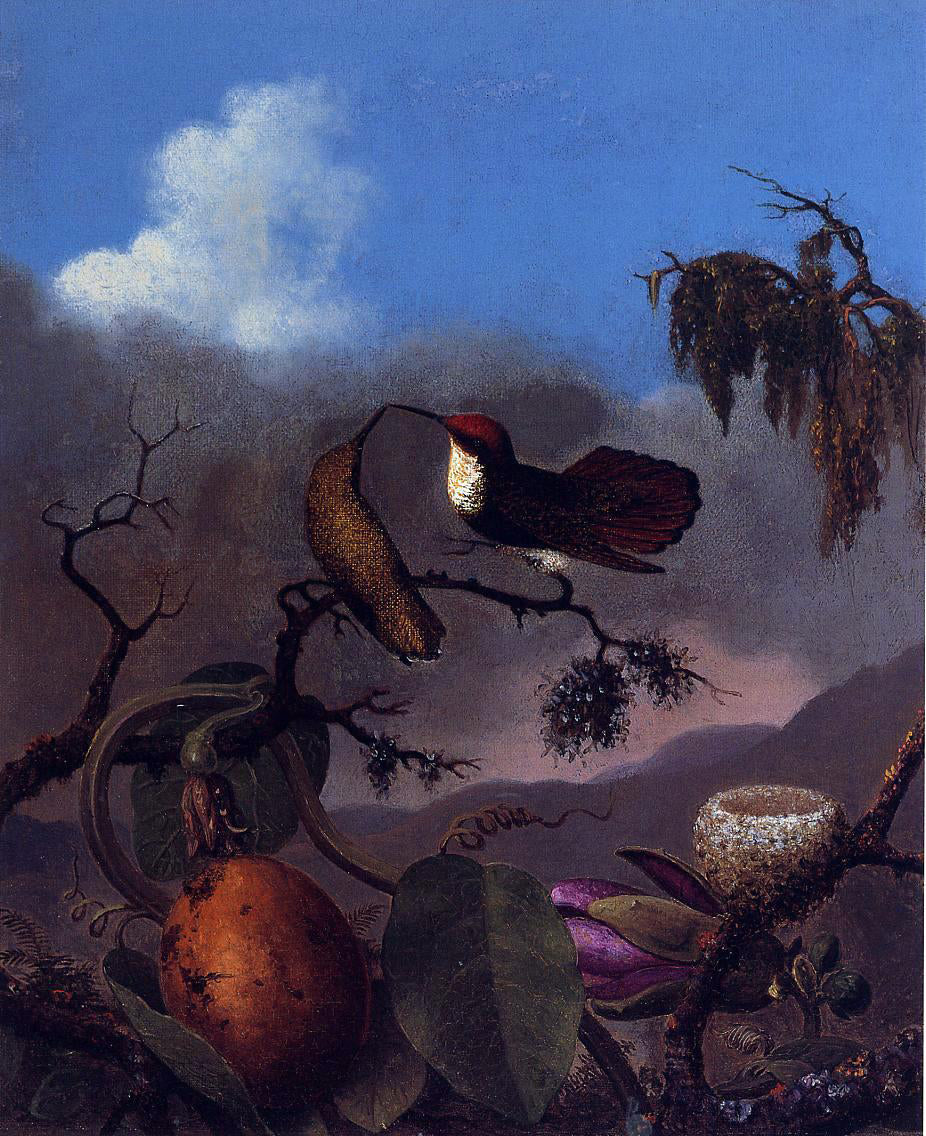 Martin Johnson Heade Ruby Topaz Hummingbirds - Canvas Print