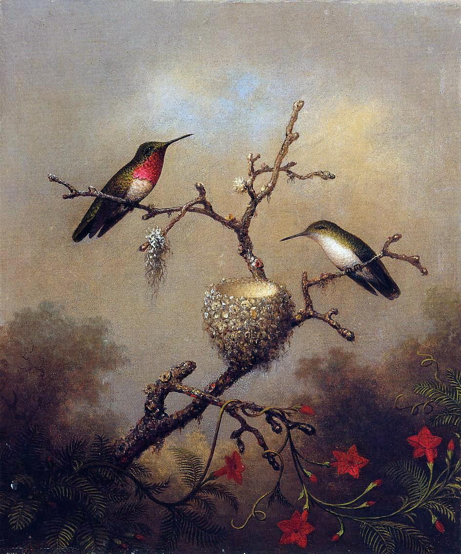 Martin Johnson Heade Ruby-Throated Hummingbird - Canvas Print