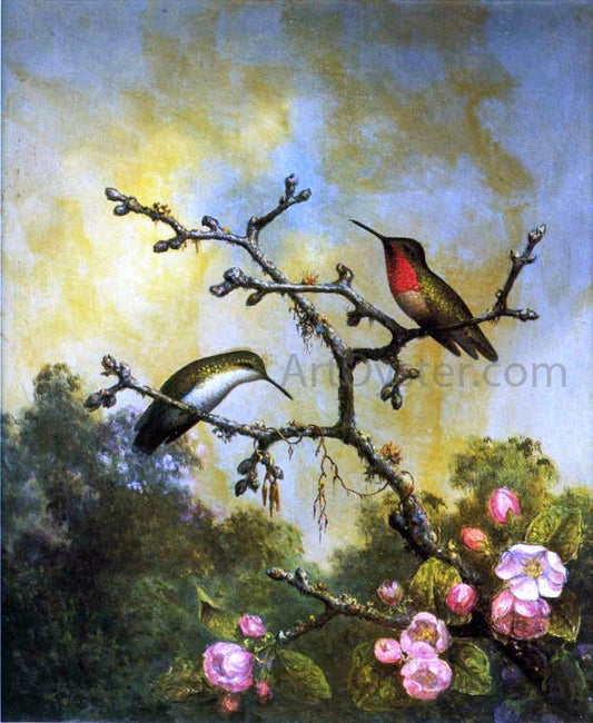 Martin Johnson Heade Ruby-Throated Hummingbirds with Apple Blossoms - Canvas Print