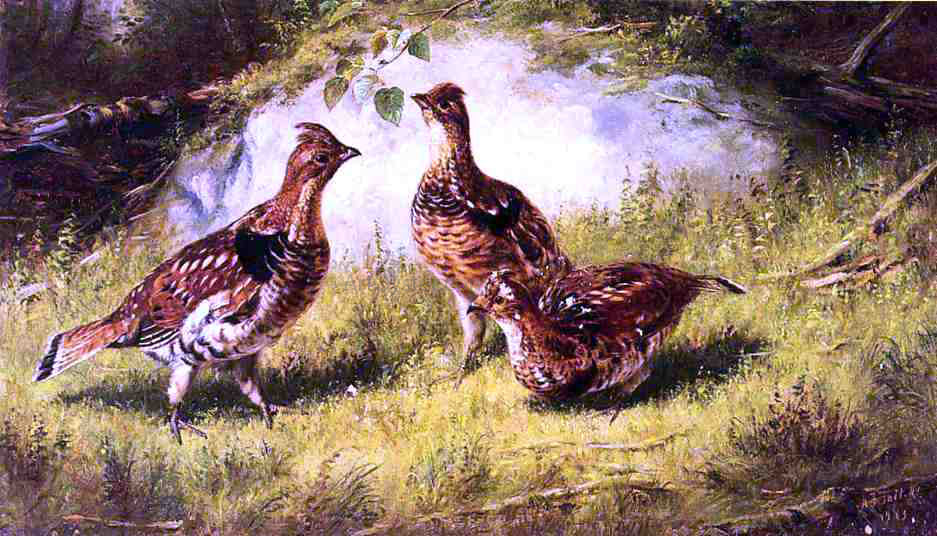 Arthur Fitzwilliam Tait Ruffed Grouse - Canvas Print