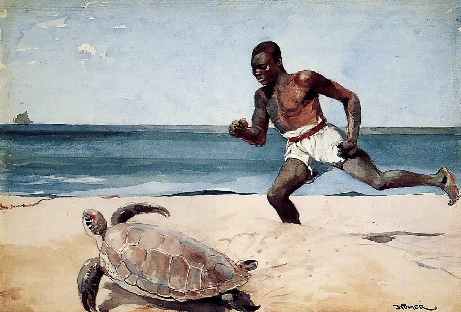 Winslow Homer Rum Cay - Canvas Print