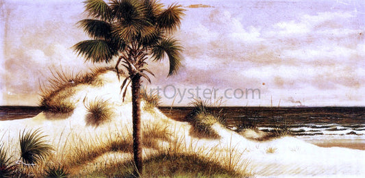 William Aiken Walker Sand Dunes, Palmetto (Sabal) and Steamboat - Canvas Print