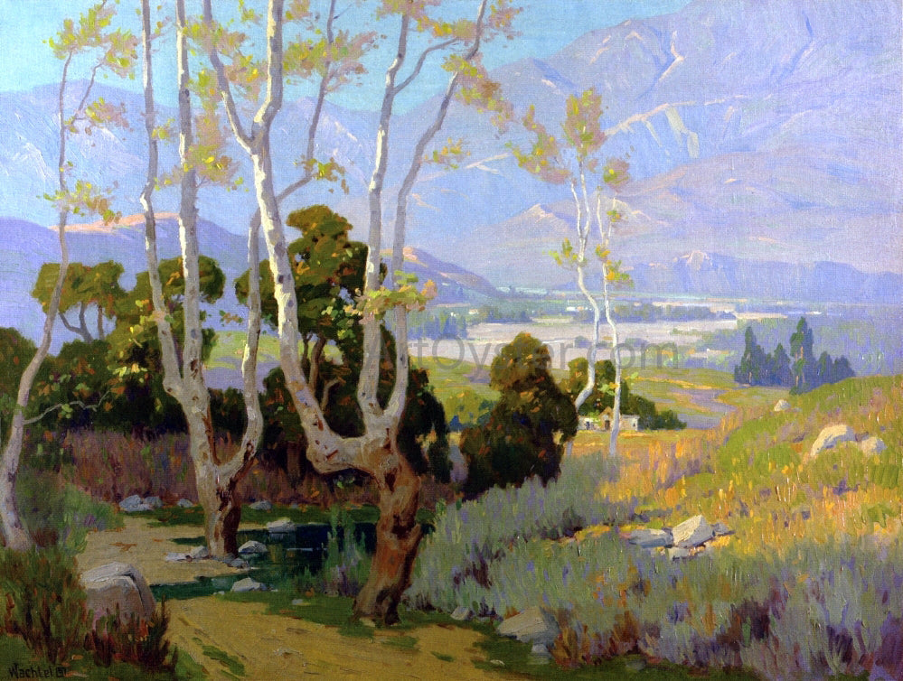 Elmer Wachtel Santa Paula Valley - Canvas Print