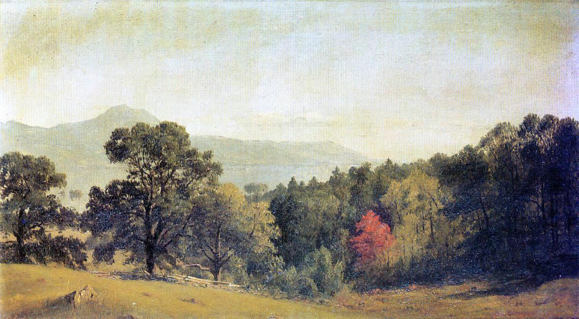 Sanford Robinson Gifford Scene at Bolton, Lake George - Canvas Print