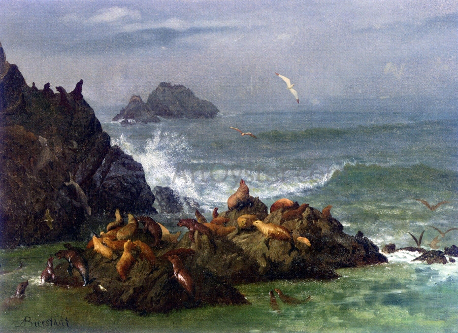 Albert Bierstadt Seal Rocks, Pacific Ocean, California - Canvas Print