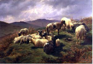 Rosa Bonheur Sheep in the Highlands - Canvas Print