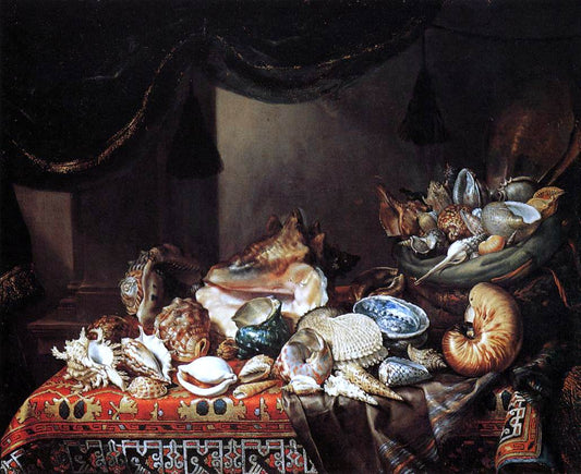 Bartolomeo Bimbi Shells - Canvas Print