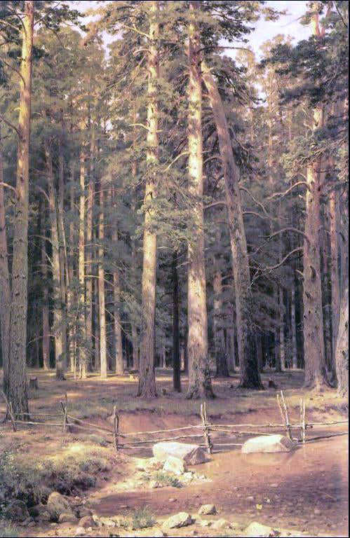 Ivan Ivanovich Shishkin Ship Timber Grove - Canvas Print