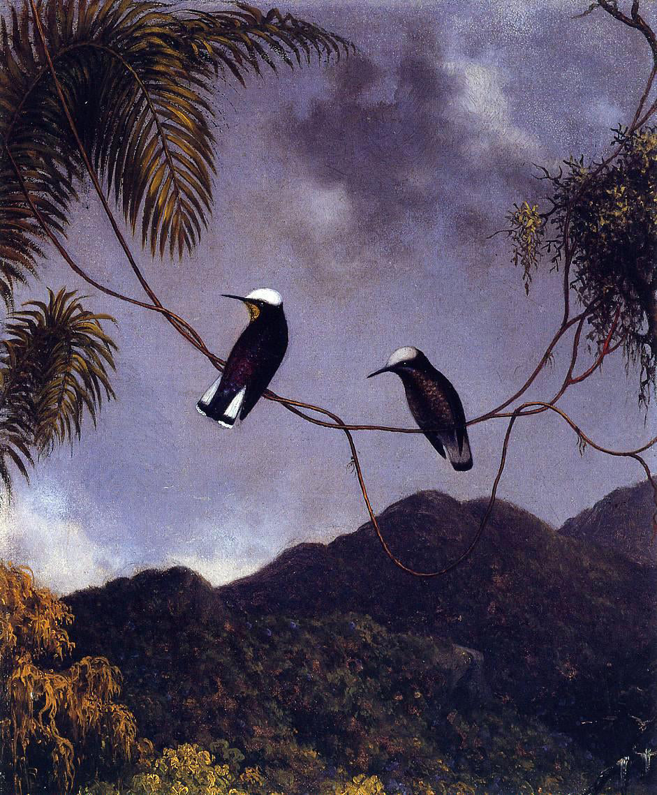 Martin Johnson Heade Snowcap - Canvas Print