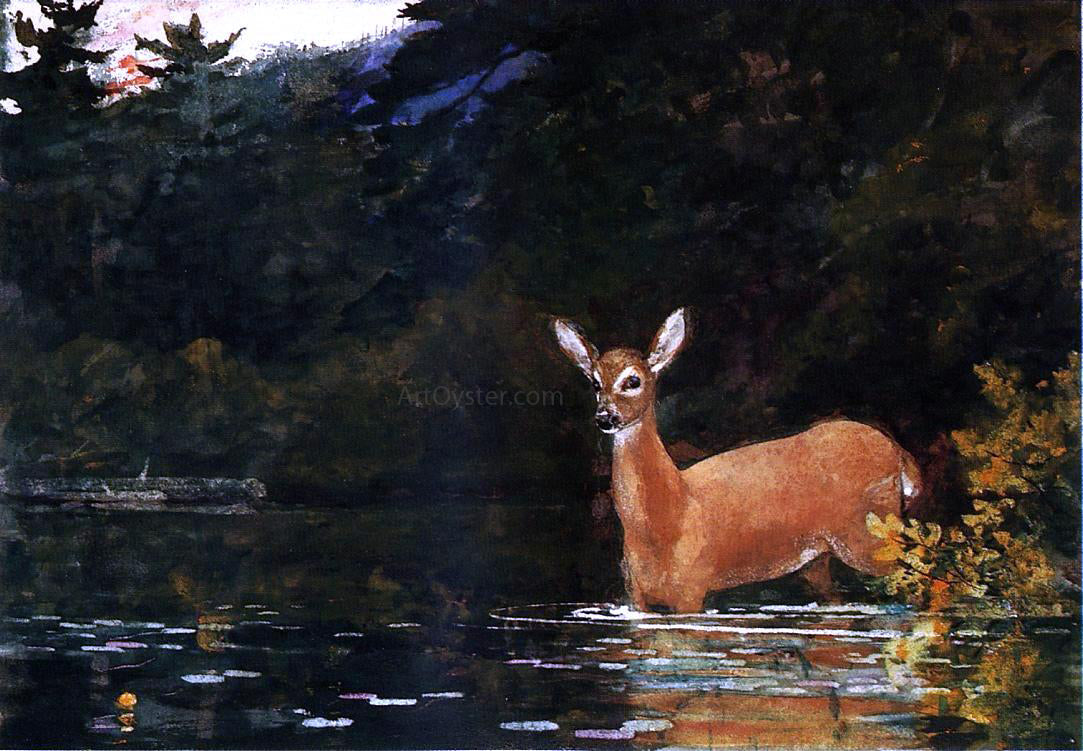 Winslow Homer Solitude - Canvas Print