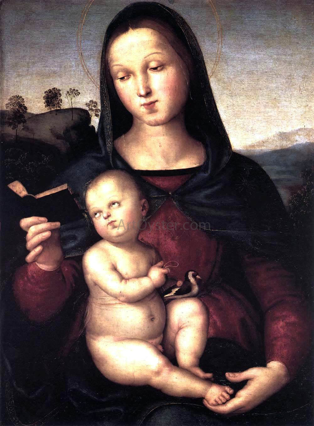 Raphael Solly Madonna - Canvas Print