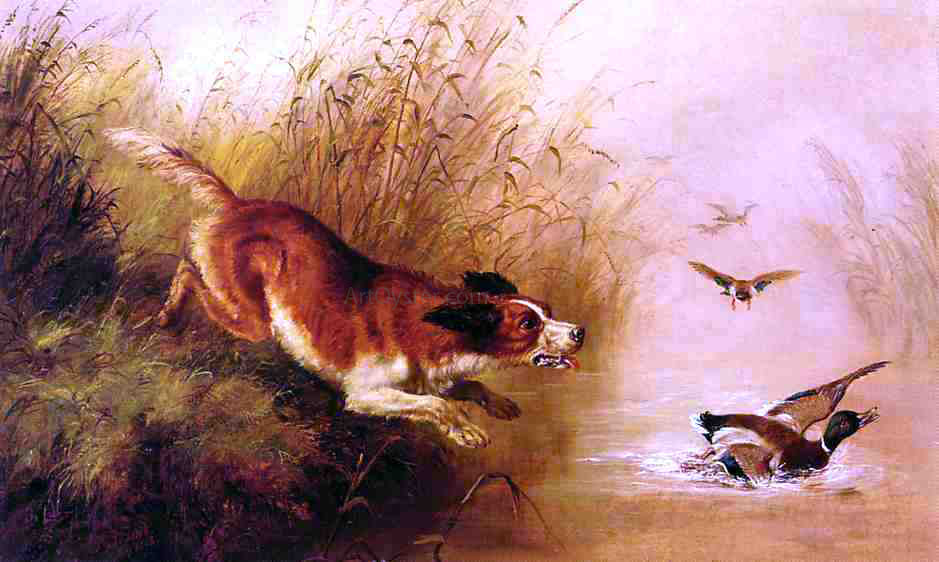 Arthur Fitzwilliam Tait Spaniel Chasing Ducks - Canvas Print