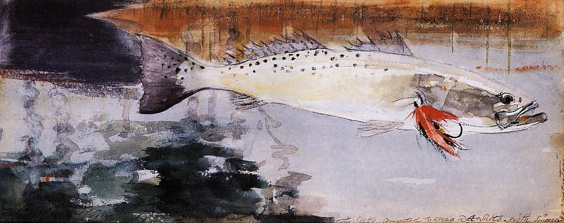 Winslow Homer Spotted Weakfish (also known as Sea Trout) - Canvas Print