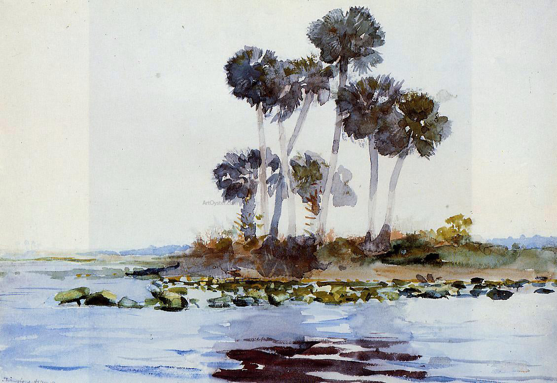 Winslow Homer St. John's River, Florida - Canvas Print