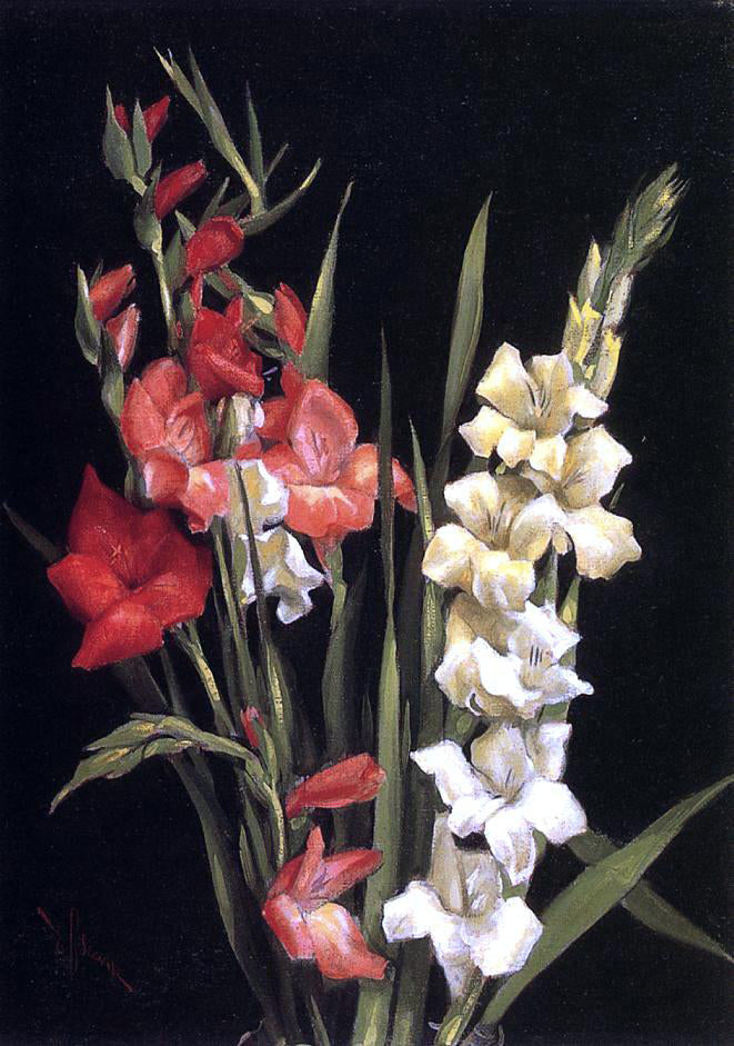 Edward C Leavitt Still Life with Gladiolas - Canvas Print