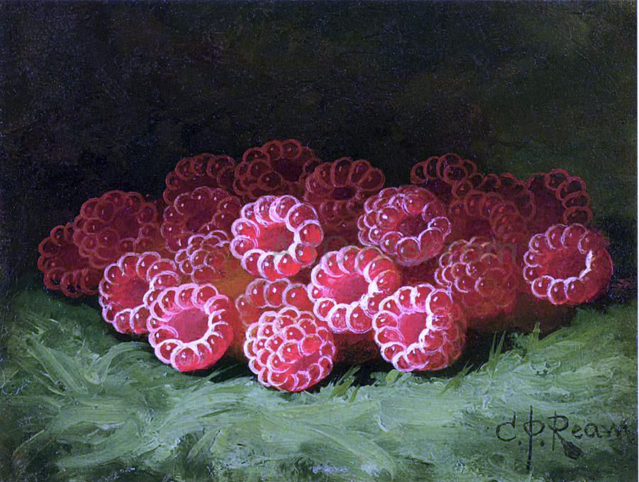 Carducius Plantagenet Ream Still Life with Raspberies - Canvas Print