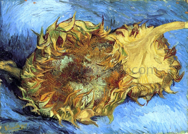 Vincent Van Gogh Still Life with Two Sunflowers - Canvas Print