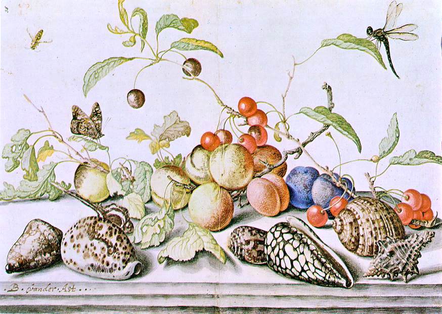 Balthasar Van der Ast Still-Life - Canvas Print