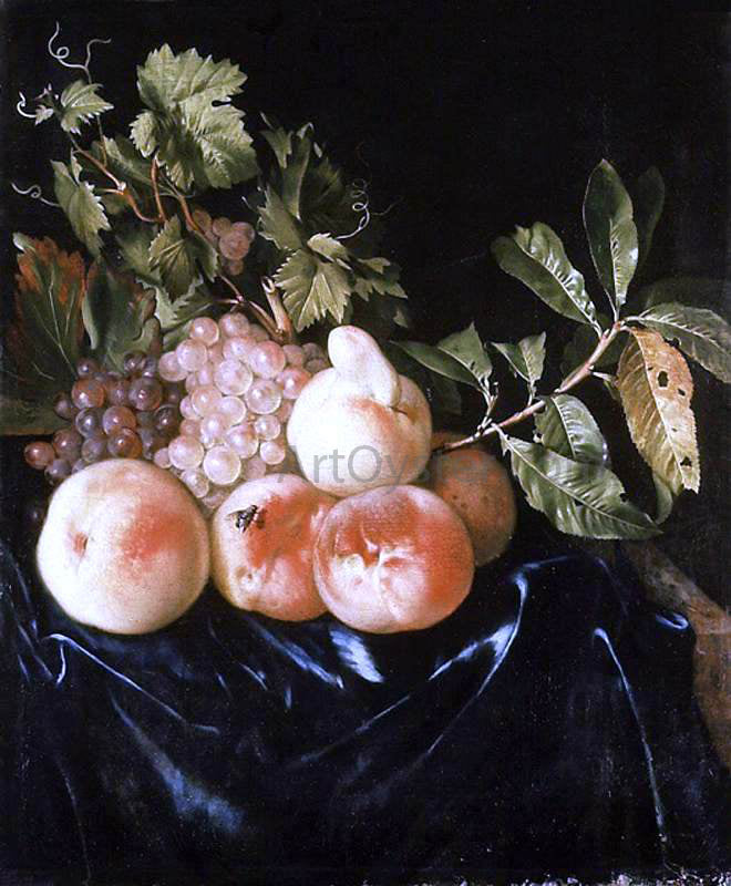 Willem Frederik Van Royen Still-Life of Peaches and Grapes - Canvas Print