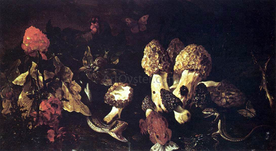 Paolo Porpora Still-Life with Fungi - Canvas Print
