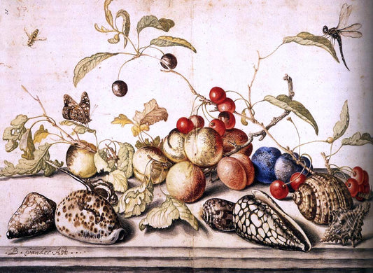 Balthasar Van der Ast Still-Life with Plums, Cherries, and Shells - Canvas Print