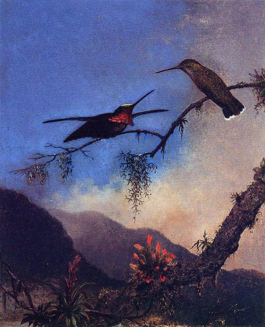 Martin Johnson Heade Strip-Breasted Starthroat - Canvas Print