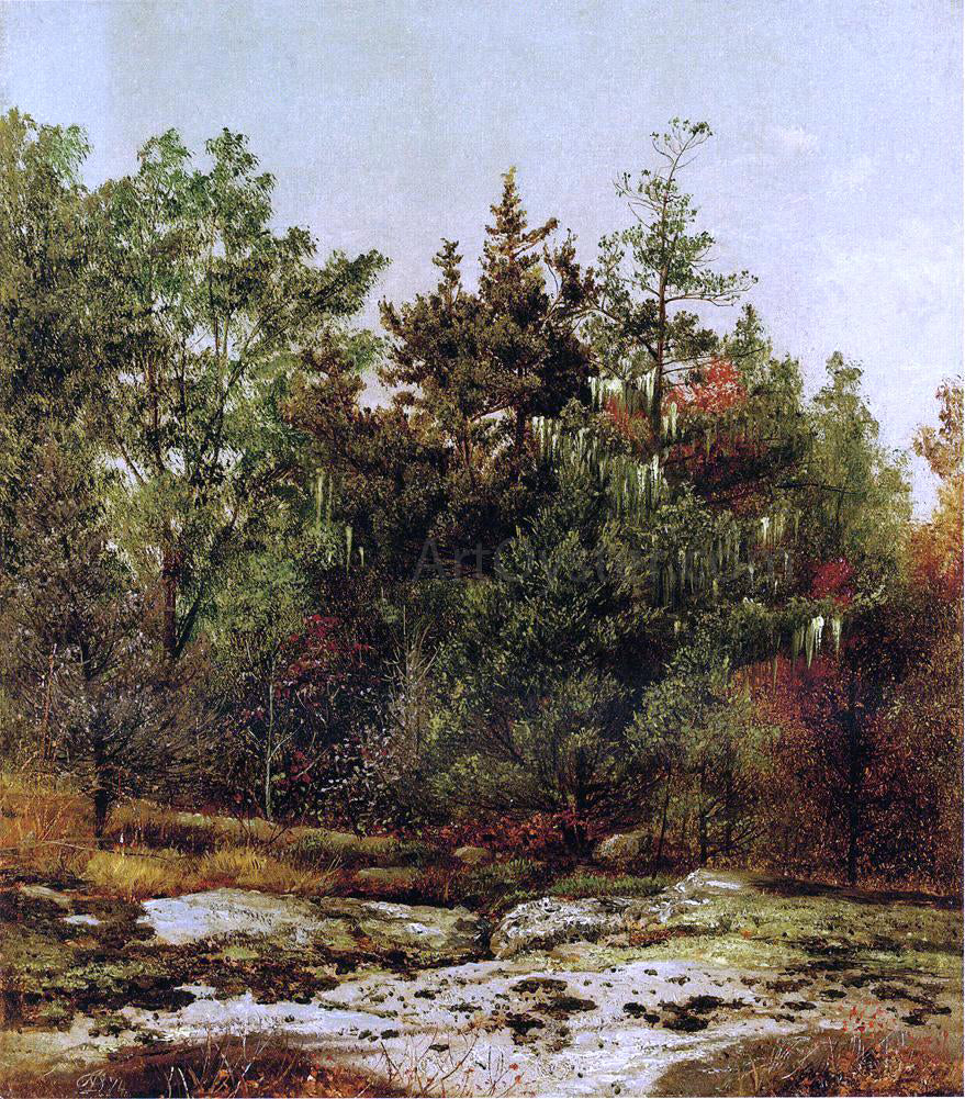 David Johnson Study at Ramapo, New York - Canvas Print