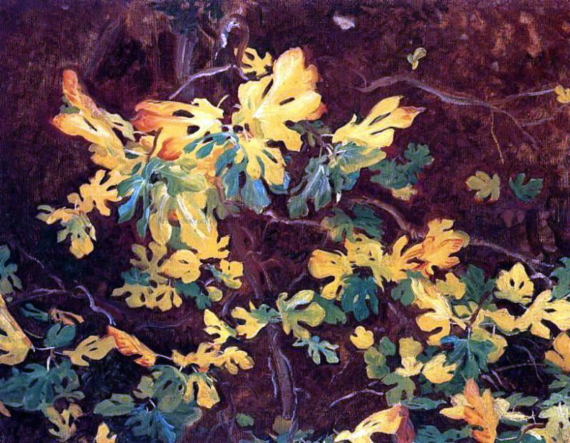 John Singer Sargent Study of a Fig Tree - Canvas Print