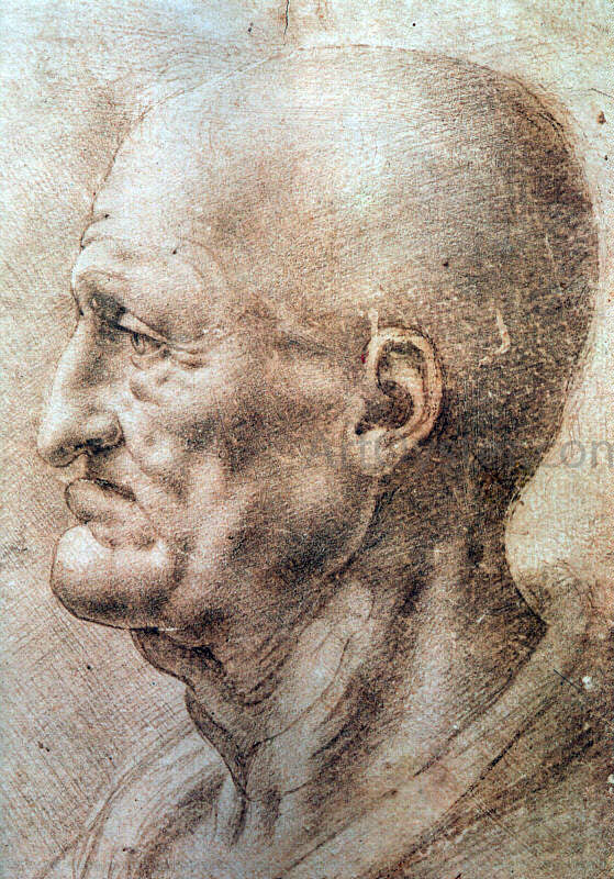 Leonardo Da Vinci Study of an Old Man's Profile - Canvas Print