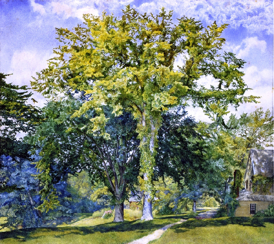 Henry Roderick Newman Study of Elms - Canvas Print