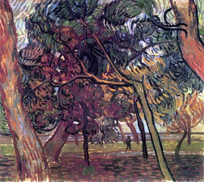 Vincent Van Gogh Study of Pine Trees - Canvas Print