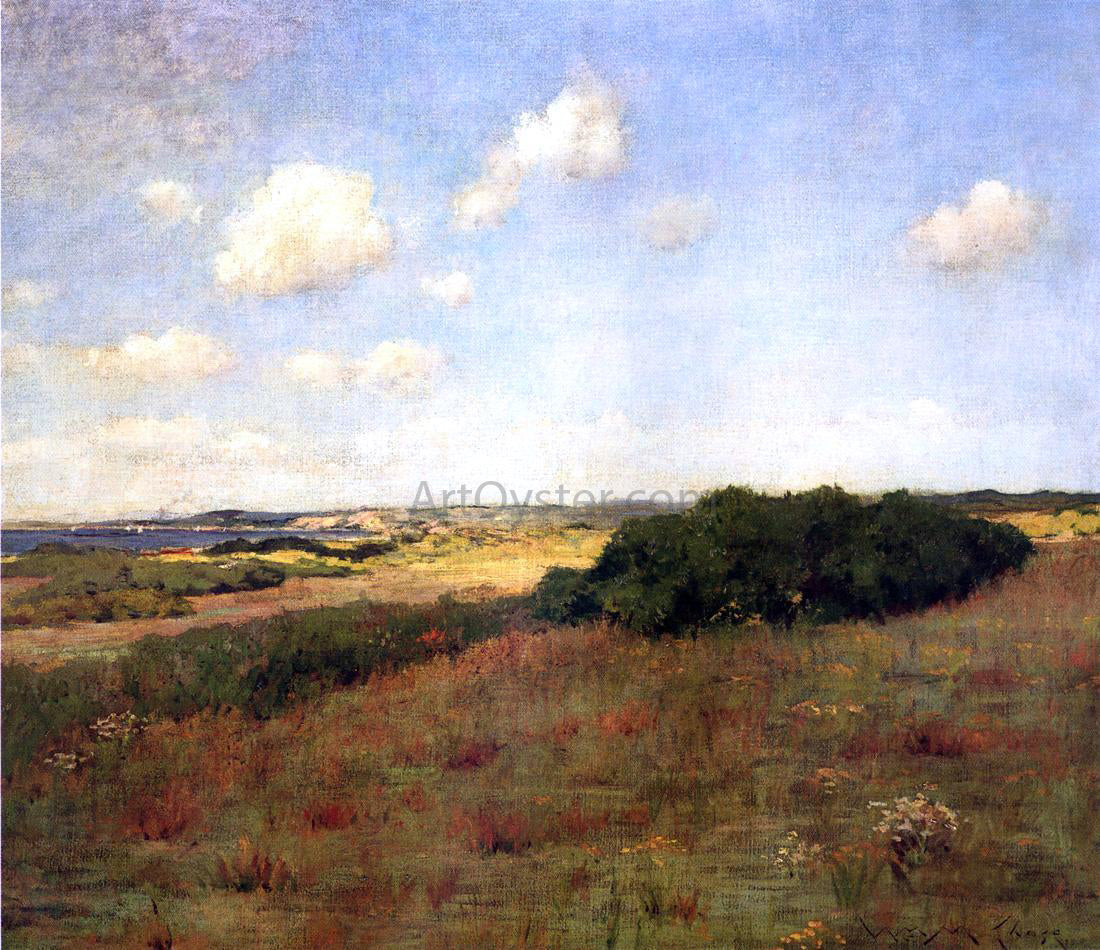 William Merritt Chase Sunlight and Shadow, Shinnecock Hills - Canvas Print