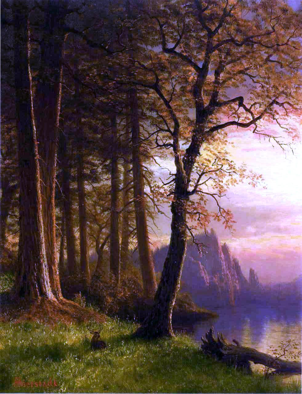 Albert Bierstadt Sunset in California - Yosemite - Canvas Print