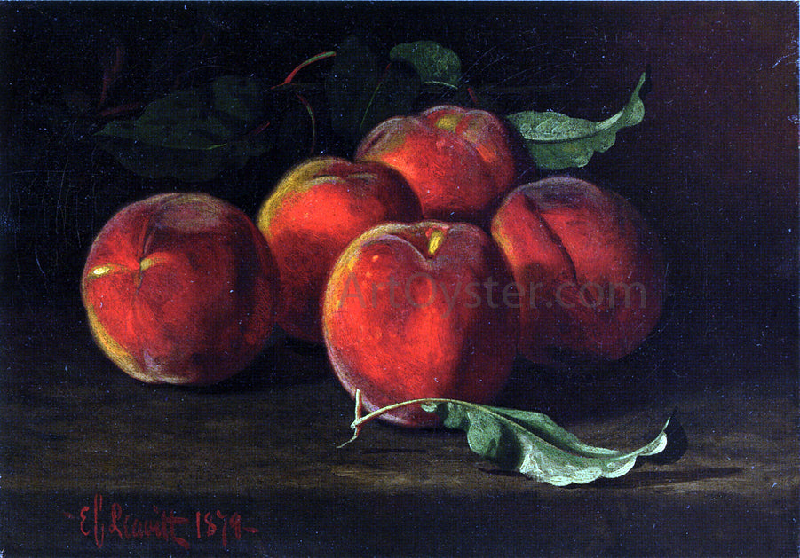 Edward C Leavitt Table Top Still Life of Peaches - Canvas Print