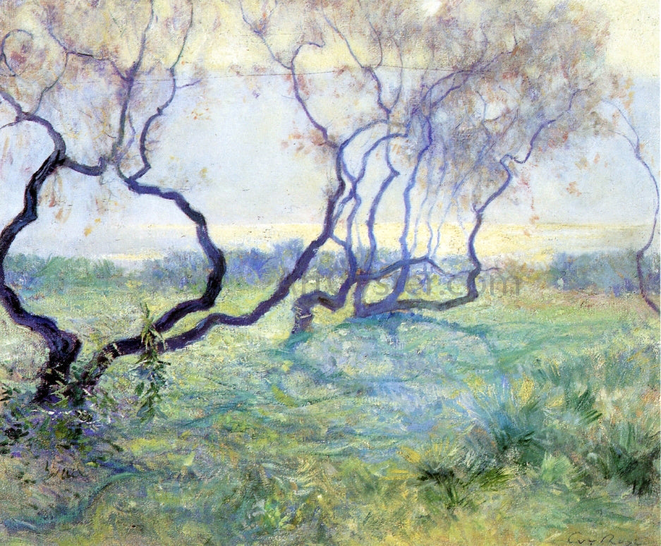 Guy Orlando Rose Tamarisk Trees in Early Sunlight - Canvas Print