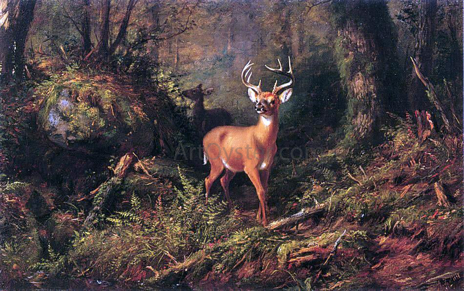 Arthur Fitzwilliam Tait Adirondacks - Canvas Print