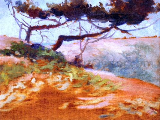 Henri Edmond Cross The Bay of Cavalieri - Canvas Print