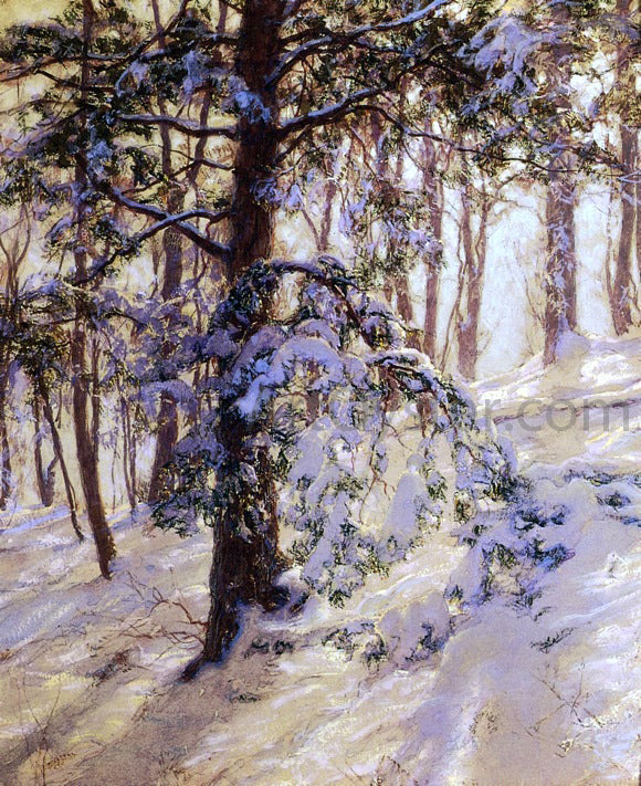 Walter Launt Palmer The Bent Branch - Canvas Print